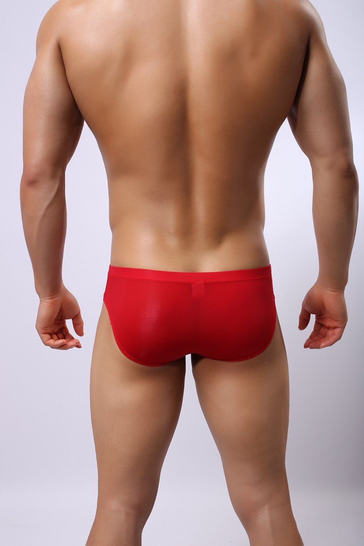 Cheap men Briefs sexy mens Transparent seamless Underwear hommes cueca Calzoncillos brand Sheer Mens Underpants