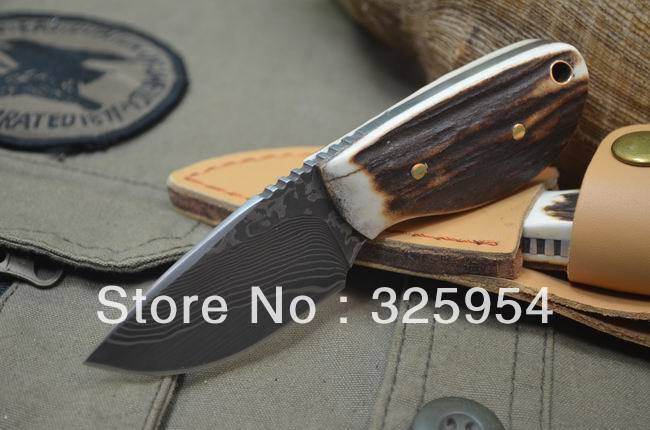 Top Quality Small Fixed Damascus Knife With Deer Horn Handle Boker Mini Knives