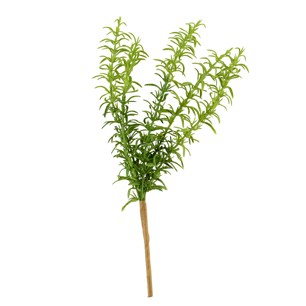 Hoge kwaliteit goudvis plant koop goedkope goudvis plant loten van ...