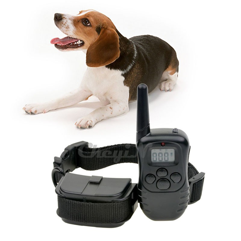dog collars store