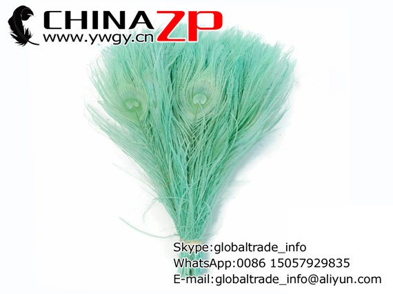 Mint Peacock Feathers, 100 Pieces - AQUA Bleached and Dyed Tails Peacock Feathers (bulk)