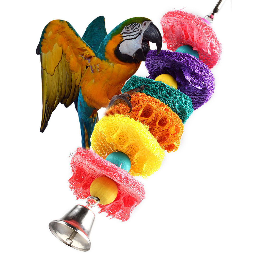            Papegaaien Speelgoed  