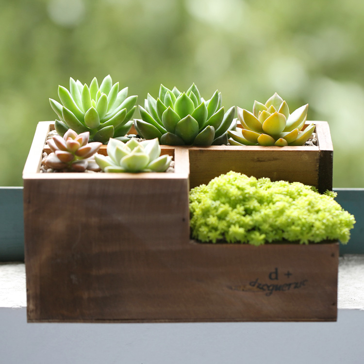 Wood Mini Flowerpots Creative Letter Planter Box Square Flower Pot
