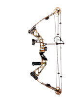 2015 New Design Archery Supplies Hunting Shooting Compound Bow and Arrow Set Aluminium Alloy Riser CNC Alloy Cams  SLD-HWXLT0