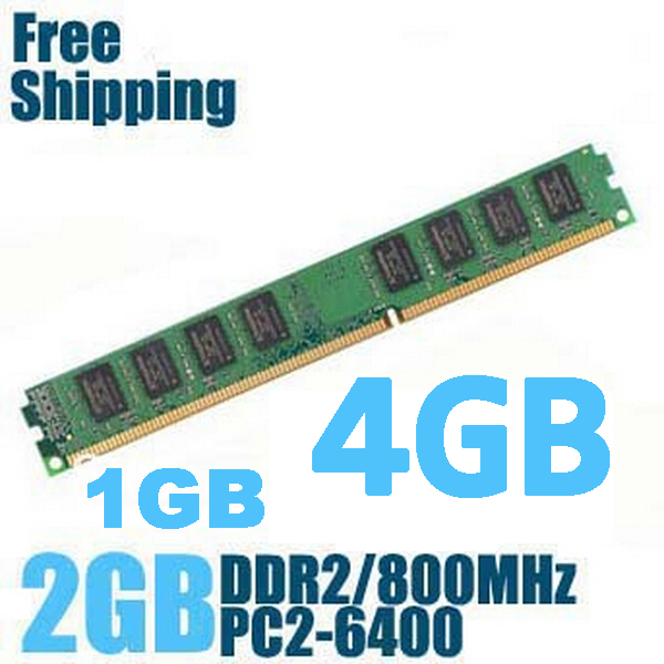  DDR2 800 / PC2 6400 1  2  4   RAM    DDR 2 667  / 533 