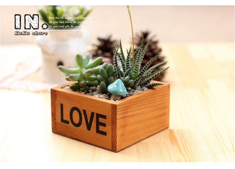 Micro Fairy Garden Decoration Mini Wooden Juicy Plants Flowerpots