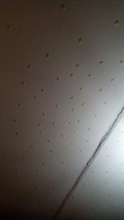 HTB1YpypQXXXXXboaXXXq6xXFXXXI
