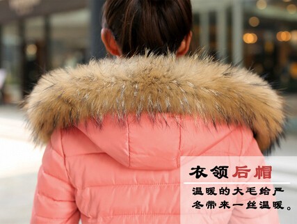 Winter-Jacket-Women-Cotton-Down-Parkas-Fur-Collar-Hooded-Coat-Outwear-6-Colors-2015-New-Winter (4)