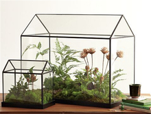 Mini Greenhouse Garden Terrarium – Handmade – Glass