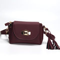2016 Trendy New Small Bag Women Designer Tassels Shoulder Bag Twist Lock Flap Embossed Bag Ladies