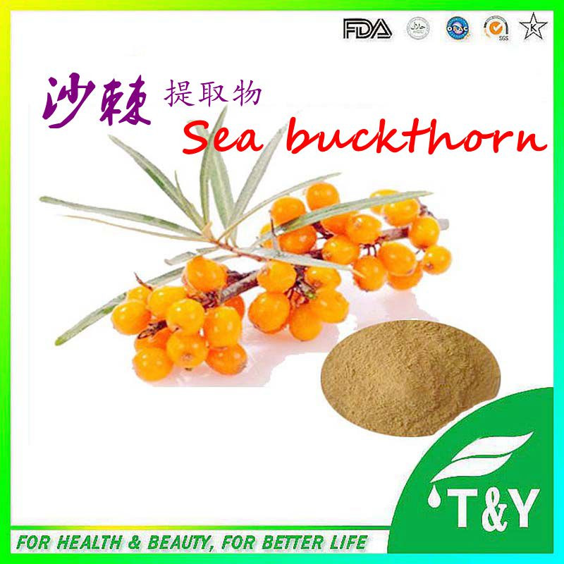 Supply 100% Natural Sea Buckthorn Extract/Sea Buckthorn Juice Powder