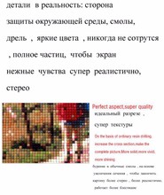 HTB1ZKloIpXXXXbxXXXXq6xXFXXXt