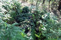 Ultralight Jacket and Pants Mesh Ghillie Suit Camo 3D single Hunting Camouflage net suit Bionic training