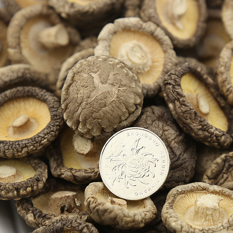 [GRANDNESS] Small 2-3cm dried chinese mushrooms Dried Shiitake Mushroom dried,organic dried mushrooms PO-KU Mushroom 500g