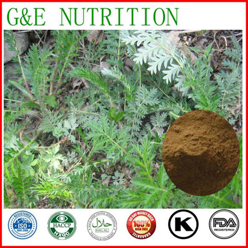 Factory sell high quality Discolor  Herb Extract / Potentilla discolor extract powder  500g