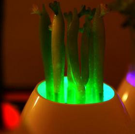 Home Wall Decoraitve Potted Green Plants LED Wall Night Light Lamp with 7 Colors of Light for ...