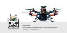 Walkera Runner 250 Advanced with DEVO F12E and 800TVL Camera RC Quadcopter RTF 2.4GHz Version