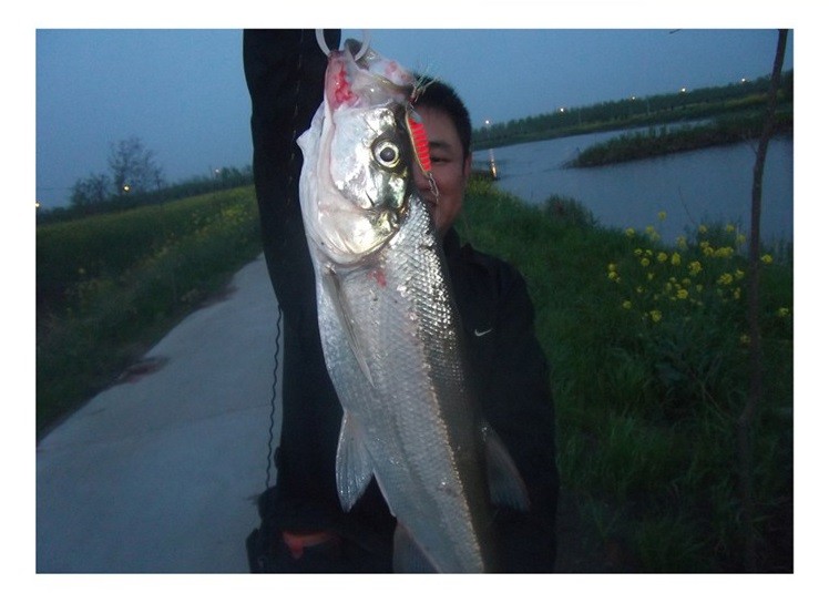 UT8u2UGXy4XXXagOFbX6