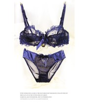 2014 Summer very sexy lace transparent thin plus size Bra & Brief Sets brand fashion luxury femal Intimates free shipping