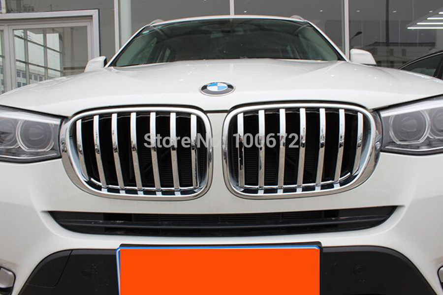 Bmw front grill mesh #6