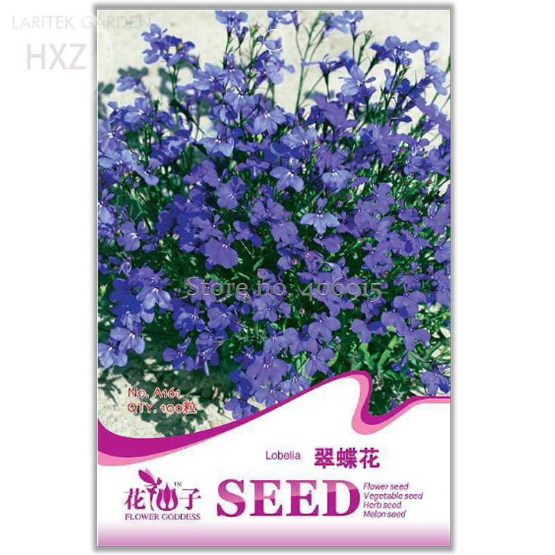 Beautiful Blue Lobelia Erinus Flower Seeds, Original Package, 100 seeds, Indoor potted flower plants ornamental flowers A161