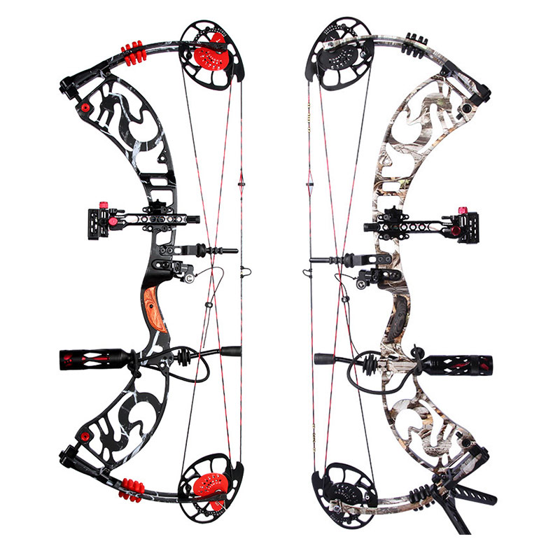 Dragon tales hunting compound bow 40 60lbs Black color bow and arrow set Cjina archery