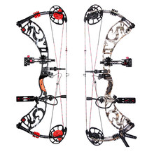 Dragon tales,hunting compound bow,40-60lbs,Black color,bow and arrow set,Cjina archery