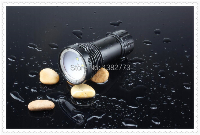 OEM D32VR flashlight (1).jpg