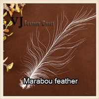 feather01