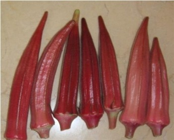 Viagra naturel plante