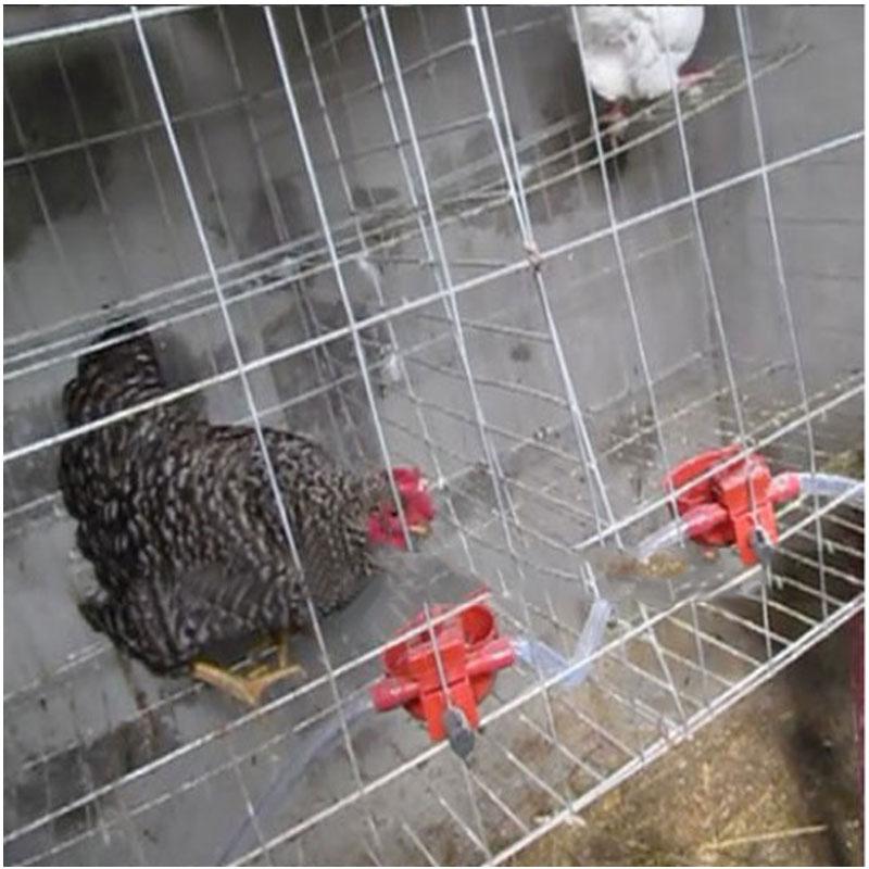 New-Bird-Coop-Pigeon-Hen-Drinker-Handy-Chicken-Poultry-Chick-Fowl 