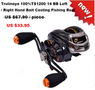 fishing reel 4