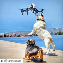 2016 DJI Inspire 1 PRO 3-Axis Gimbal drones with Zemuse X5 4K Camera and Quadcopter with camera hd
