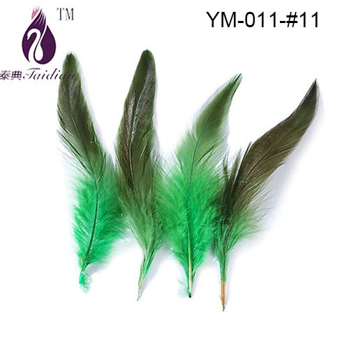 rooster feather -11