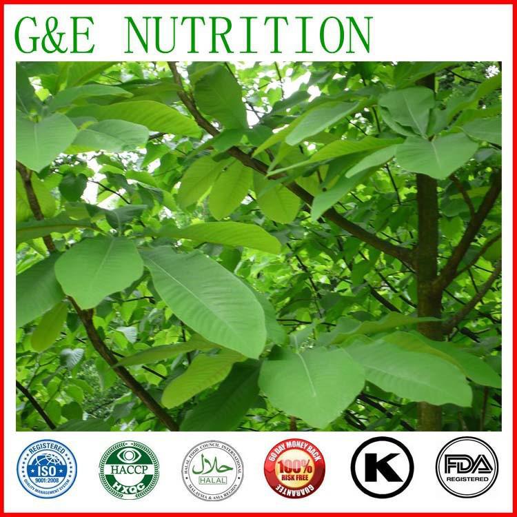 500g GMP Supplier Magnolia bark Extract with free shipping