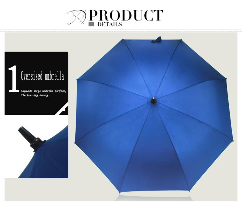 Umbrella 05