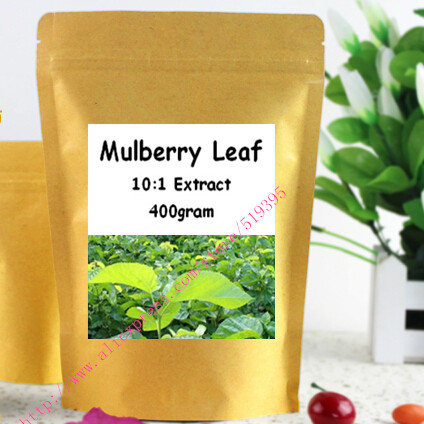 400gram Natural Mulberry Leaf 10:1 Extract Powder free shipping