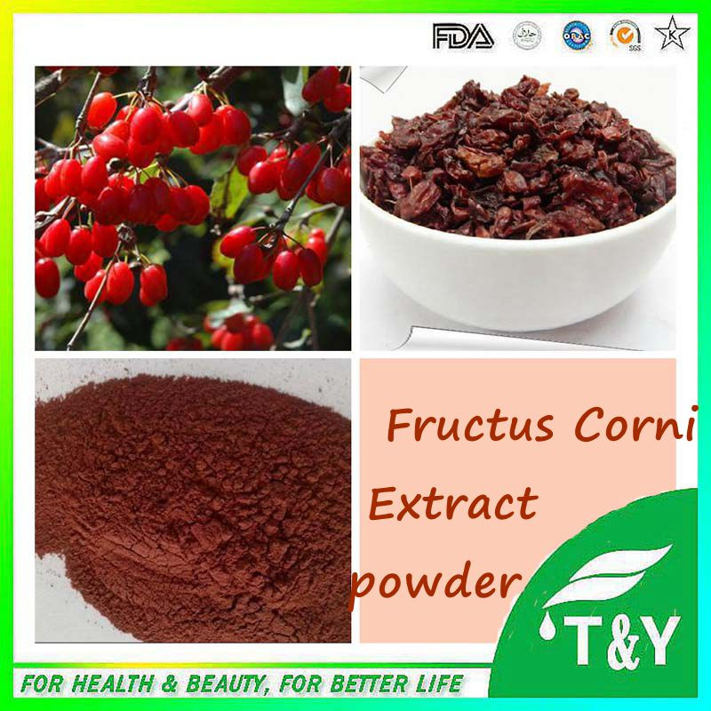fructus corni extract/shan zhu yu extract/cornus officinalis extract