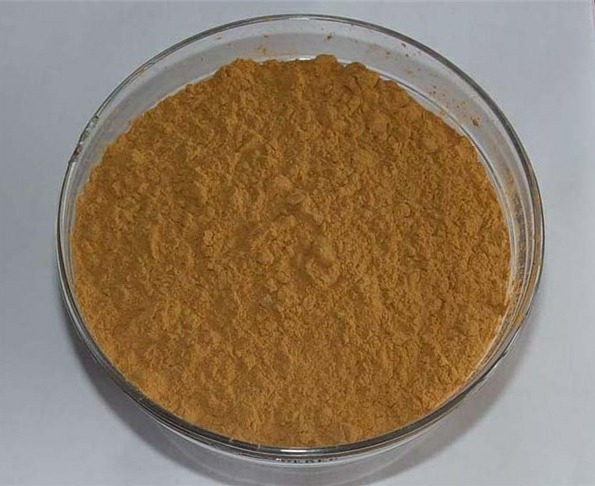 1000g Poria extract Poria Cocos Extract 30% Polysaccharide