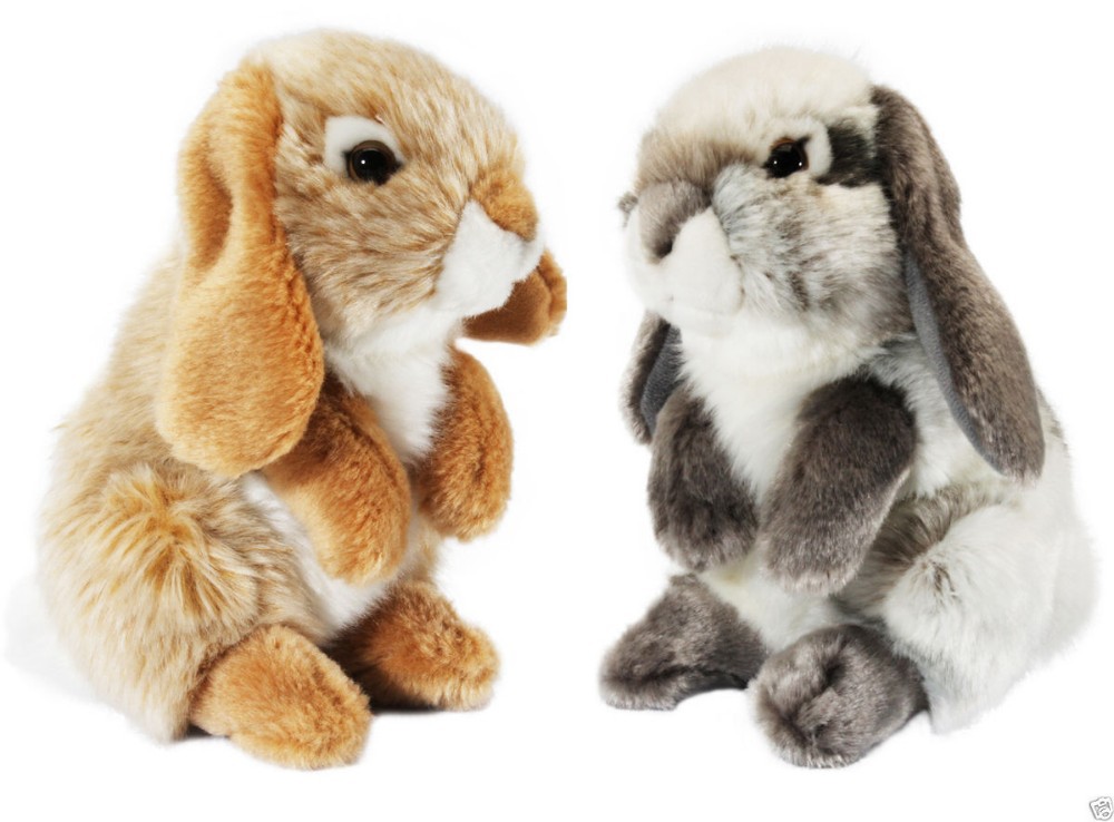 plush lop rabbit