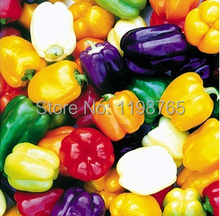 30pcs 6 Color Yellow Puple Red Green Blue White Mix Sweet Bell Hot Pepper Seeds vegetables Paprika