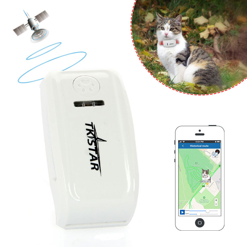 Mini   GPS     Cat       via iOS  Android  TKStar