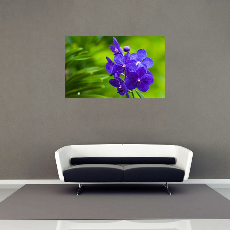 Interni decorazioni per parete promozione fai spesa di articoli in ... Decorazioni per pareti interne