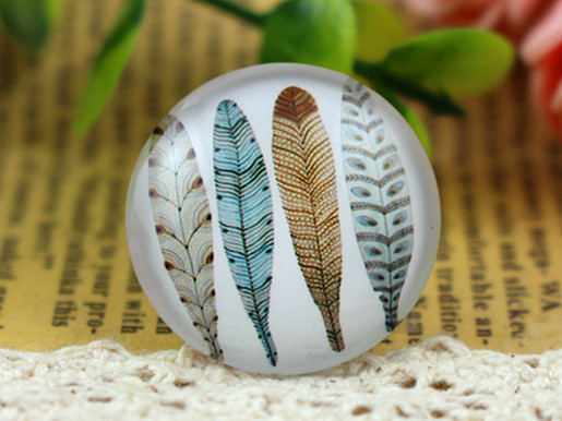 Free Shipping 2pcs 25mm Handmade Photo Glass Cabochons Much Feather H-2762