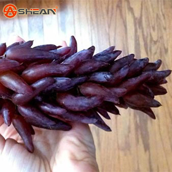 100 Seeds Pack Very Rare Witches Finger Grape Seeds Advanced Fruit Seed Natural Growth Grape Delicious