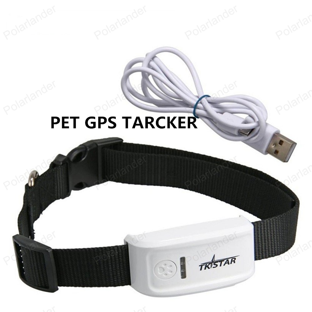 Popular Cat Gps Tracking Collar-Buy Cheap Cat Gps Tracking Collar Lots ...