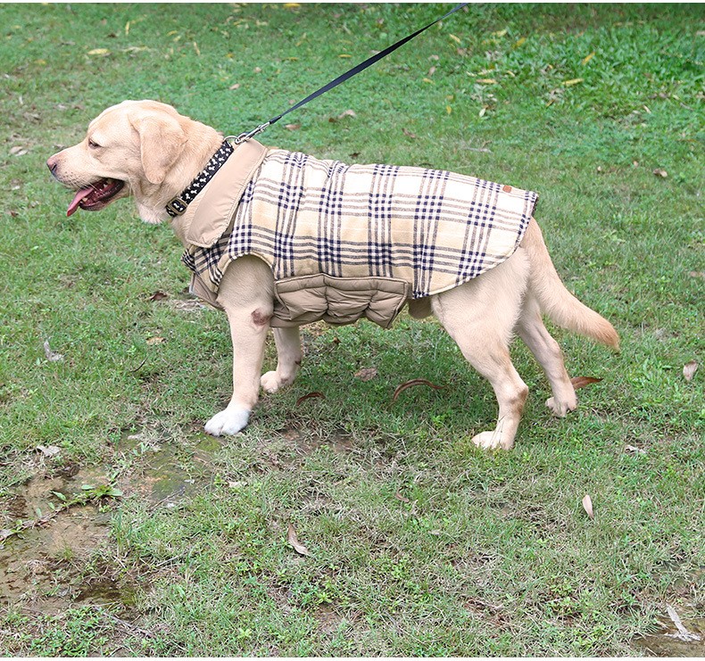 large dog clothes (12)