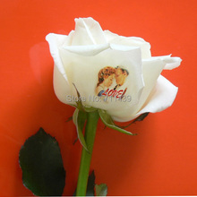 CE APPROVED free shipping digital 3 flowers printer flowers printing machine