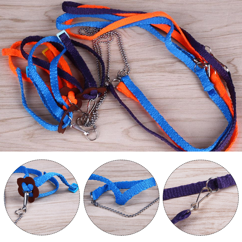 Popular Pets LizardBuy Cheap Pets Lizard lots from China Pets Lizard suppliers on