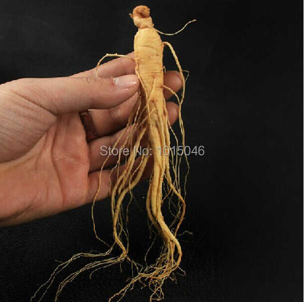 Гаджет  Whole Sale 10 X 8 Years Ginseng Changbai Mountain Dried White Ginseng,Insam,Ginseng Tea,food Organic Herb,Panax,Chinese Herb None Еда